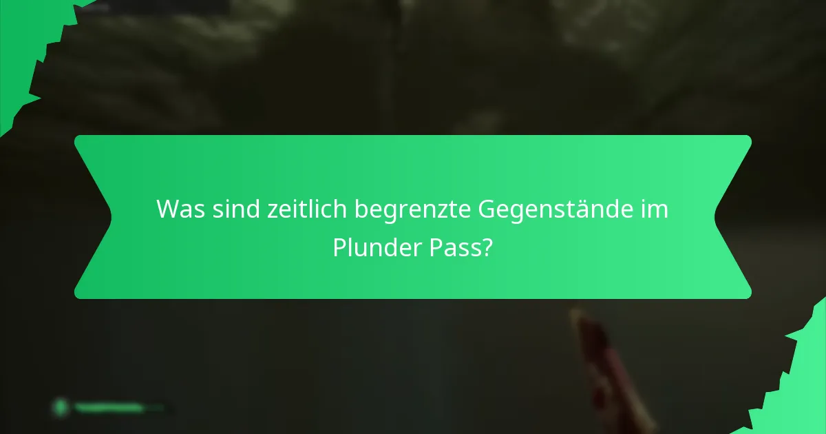 Was sind zeitlich begrenzte Gegenstände im Plunder Pass?